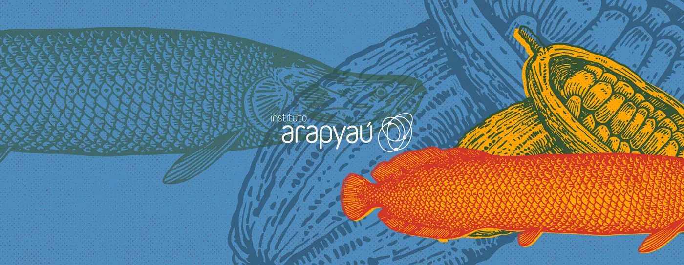 Peixe ilustrado no relatório anual do Instituto Arapyaú