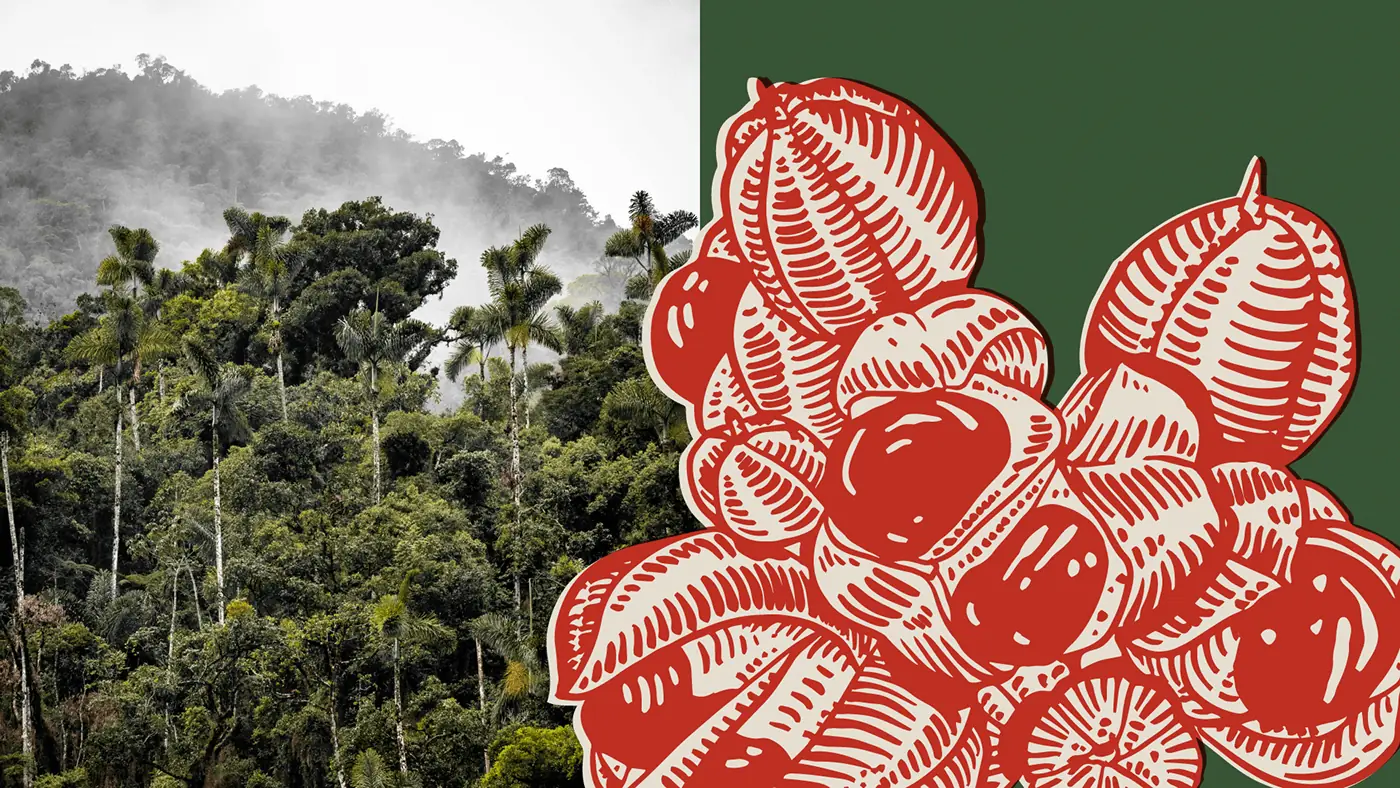 Relatório Anual 2023 Instituto Arapyaú — imagem 8 de 14