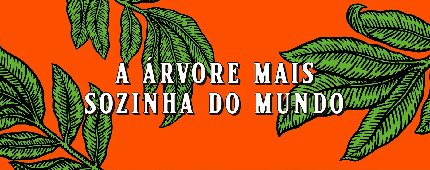 Capa & Ilustração - A Árvore Mais Sozinha do Mundo — imagem 2 de 12