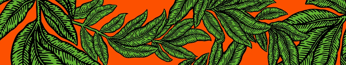 Capa & Ilustração - A Árvore Mais Sozinha do Mundo — imagem 3 de 12