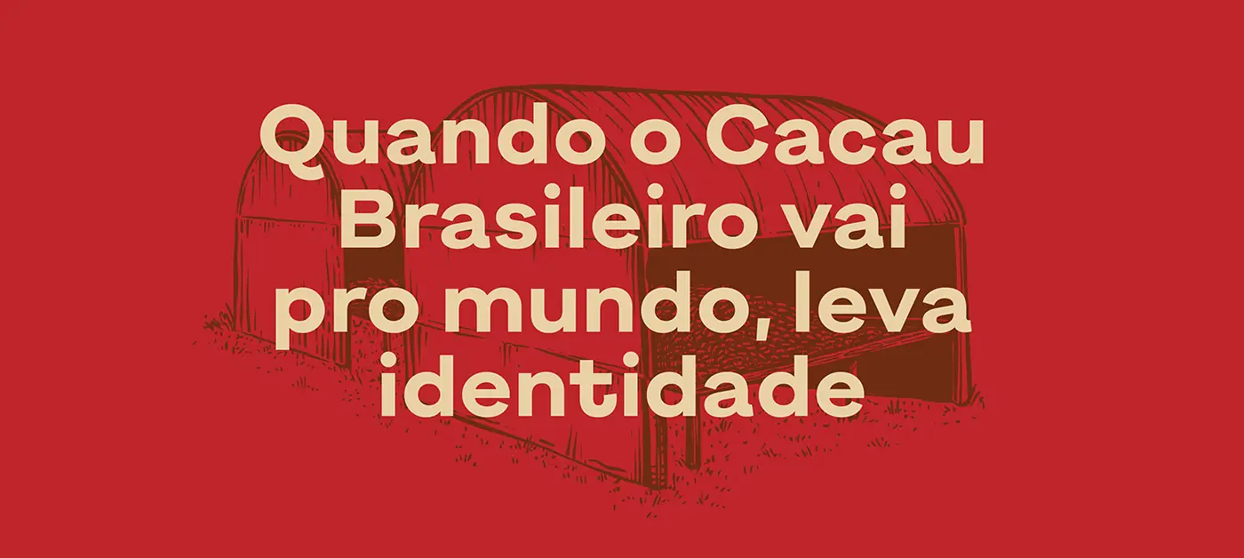 Cacau Brasileiro — imagem 9 de 19