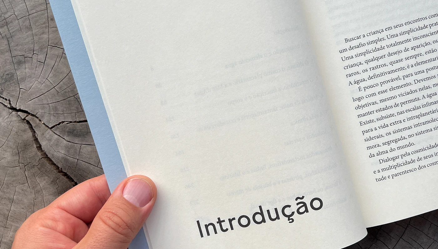 A Criança e as Águas — imagem 9 de 11
