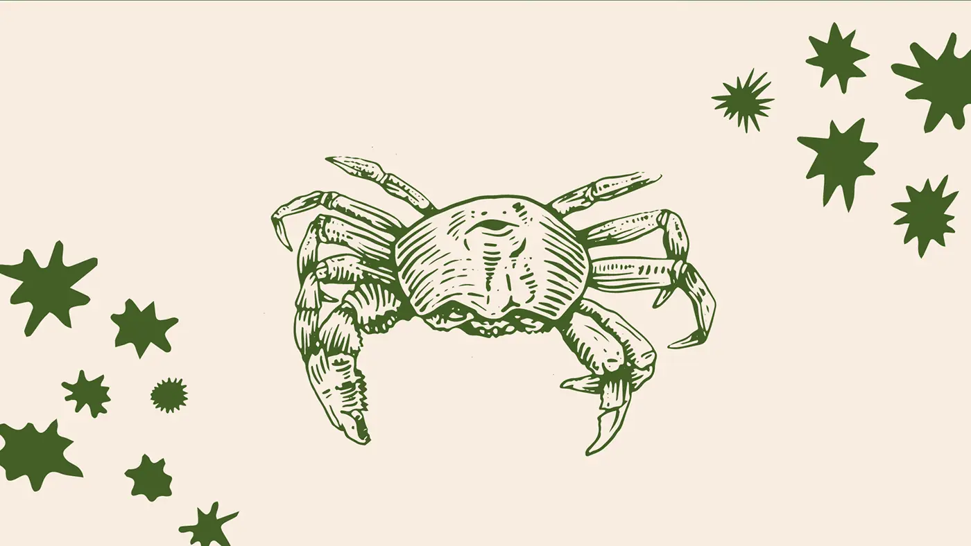 33 anos Greenpeace Brasil — imagem 9 de 12