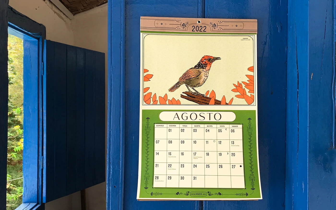 Calendário Pássaros Cantores Brasileiros de 2022 pendurado em uma parede azul