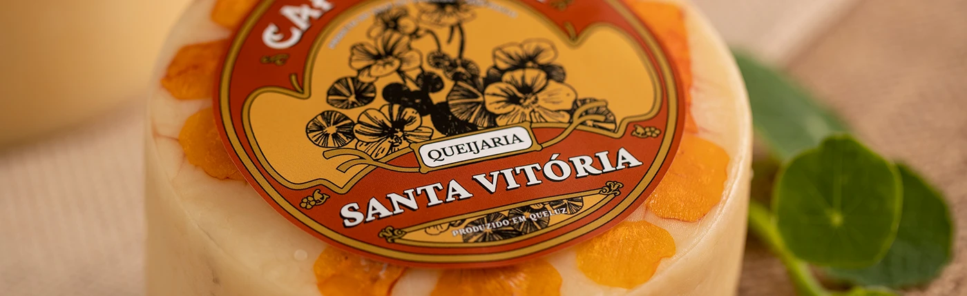Rótulo circular ilustrado da Queijaria Santa Vitória aplicado a um queijo