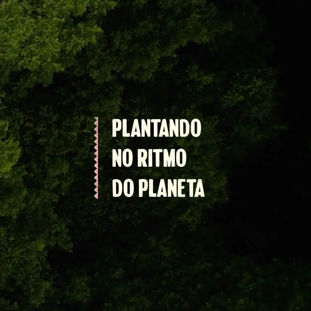 Sons da Agrofloresta — imagem 5 de 8
