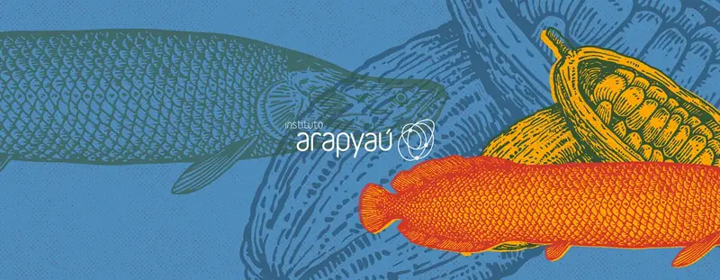 Peixe ilustrado no relatório anual do Instituto Arapyaú