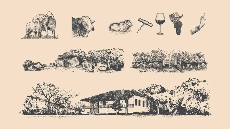 Gravuras da identidade da Fazenda Mariana